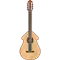 アコースティックギター AIG-NT