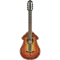 アコースティックギター AIG-CS